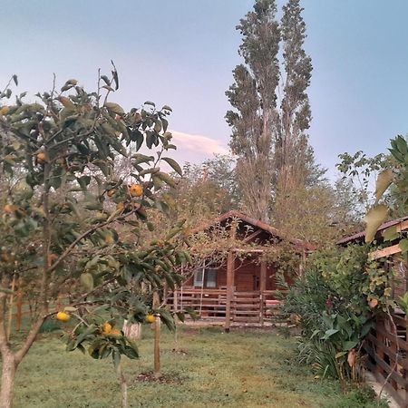 Hotel Genacvale In Bandza Martvili Exterior foto