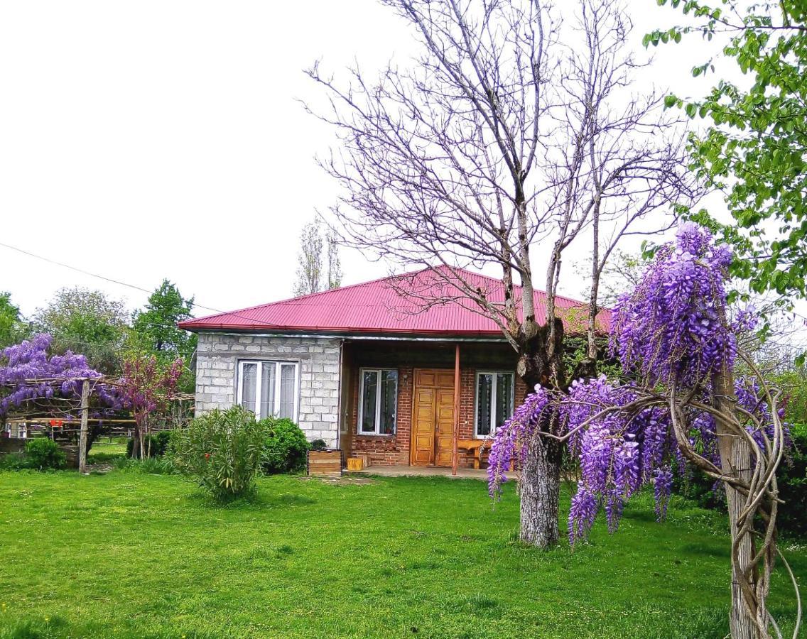 Hotel Genacvale In Bandza Martvili Exterior foto