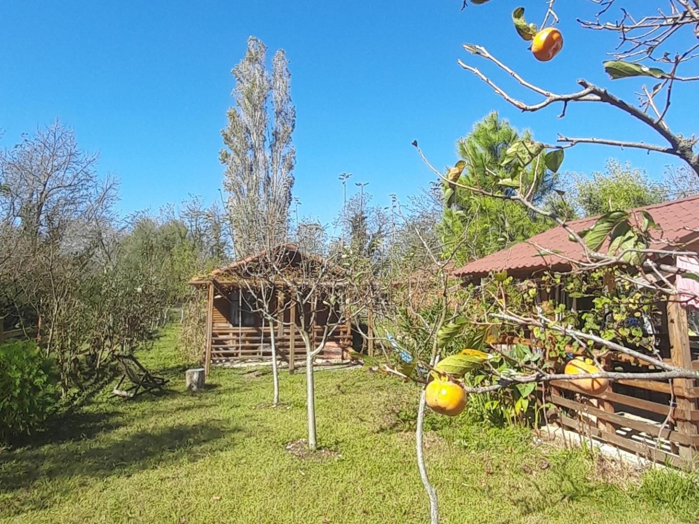 Hotel Genacvale In Bandza Martvili Exterior foto