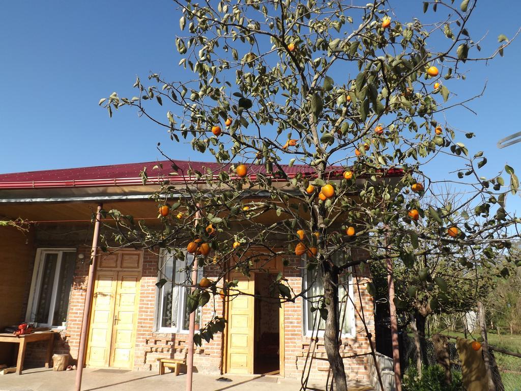 Hotel Genacvale In Bandza Martvili Exterior foto